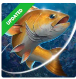 Fishing Hook